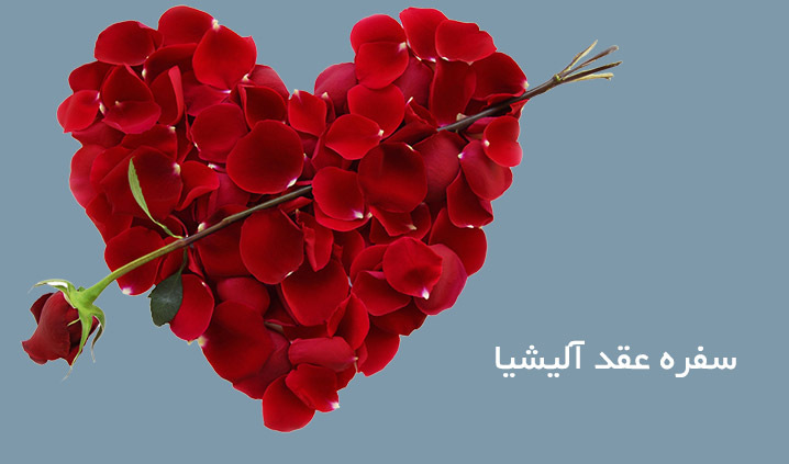 سفره عقد آلیشیا